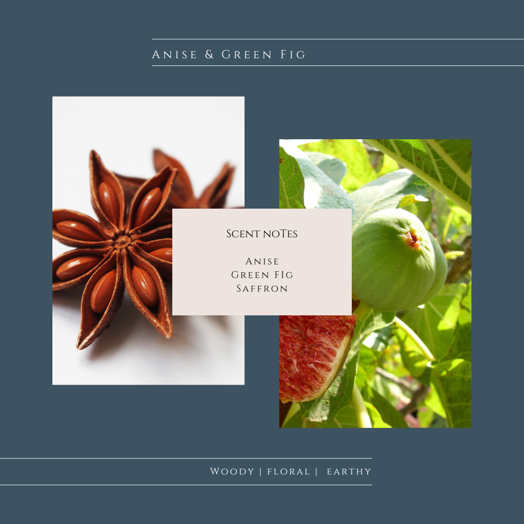 Soy Candles | Anise & Green Fig Soy Candle | Roshni Candle Studio